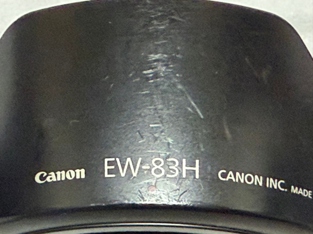 Canon EF 24-105mm F4 L IS USM【光学良好】