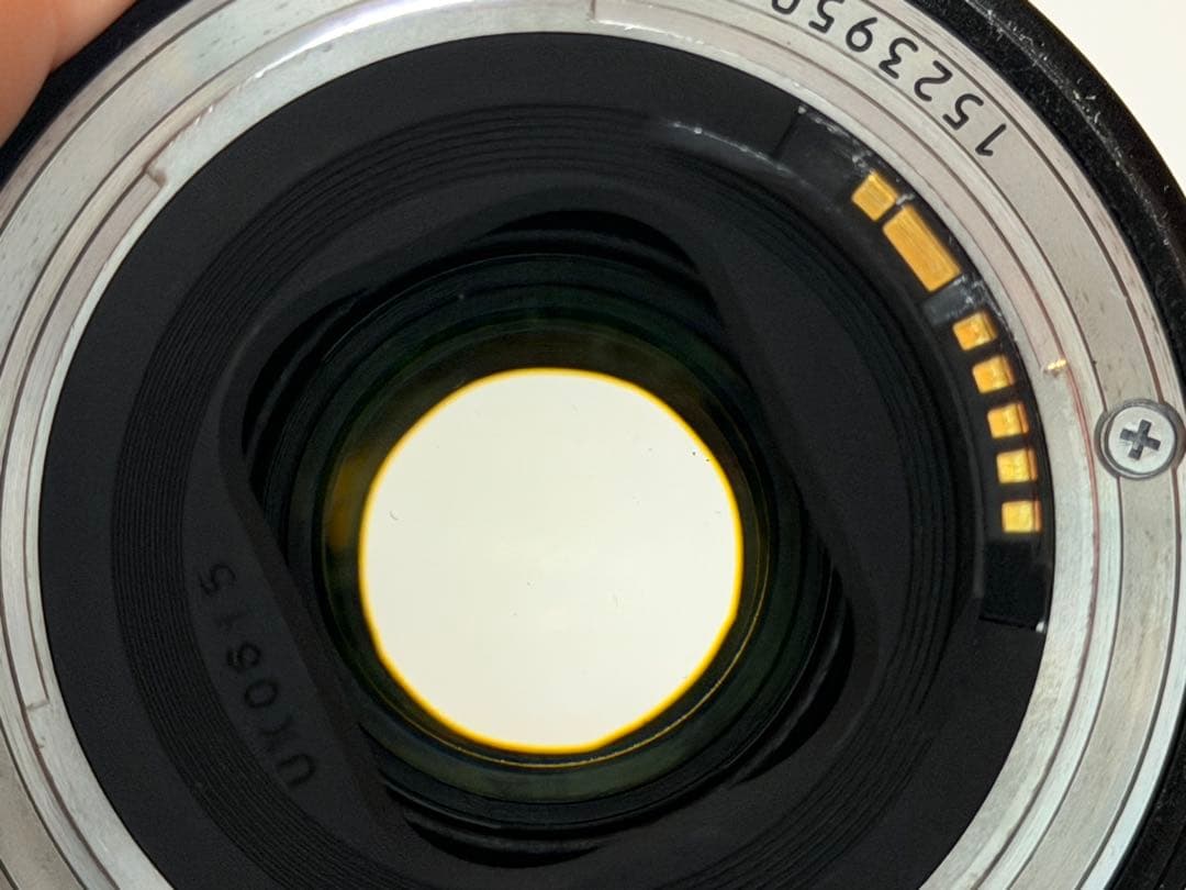 Canon EF 24-105mm F4 L IS USM【光学良好】