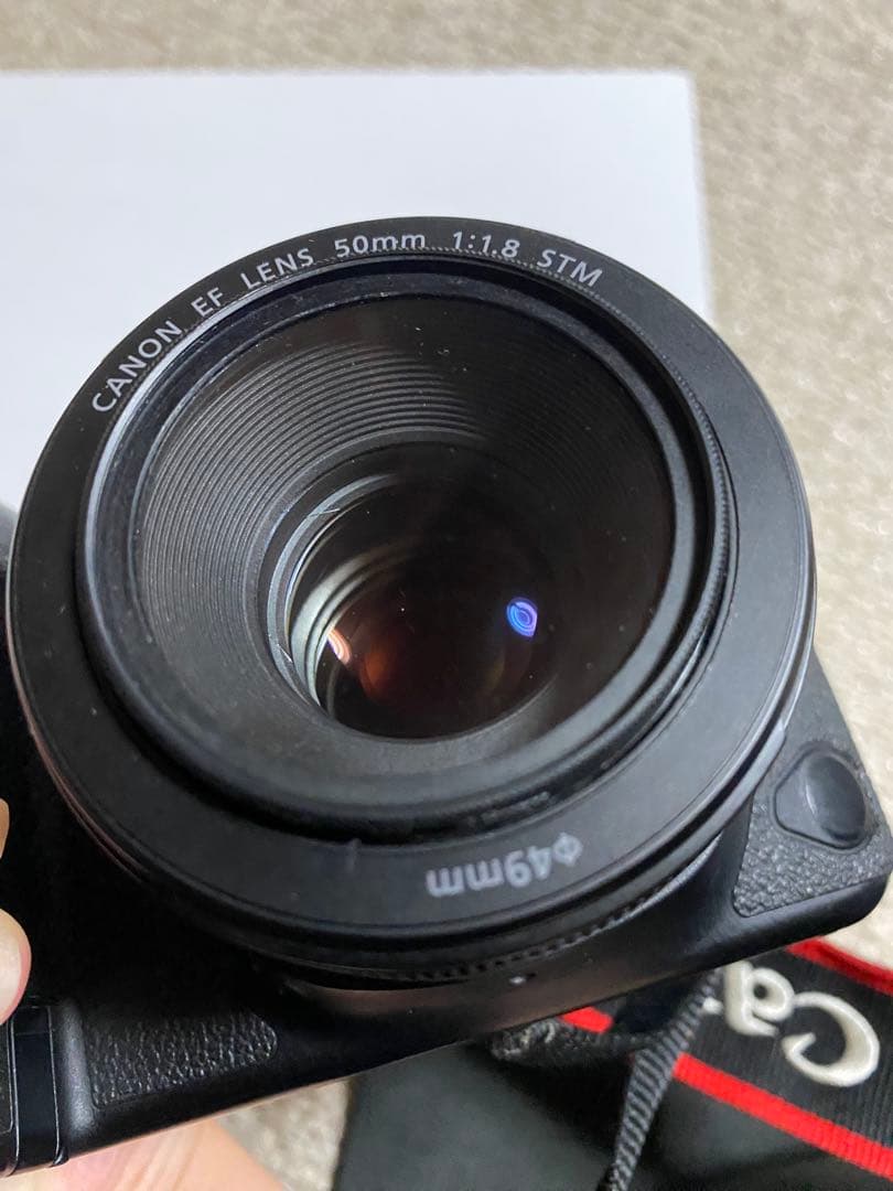 Canon 6D mark Ⅱ ボディ 50 mm単焦点