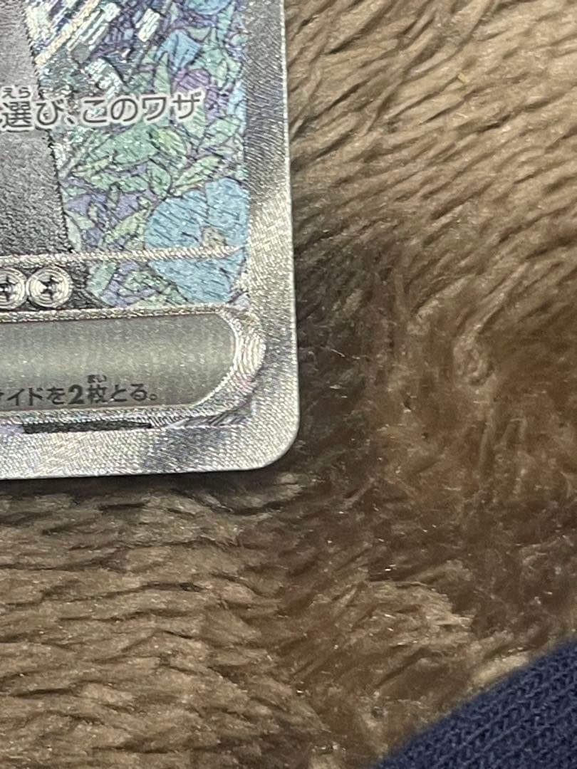 値下げ交渉可　Nのゾロアーク
