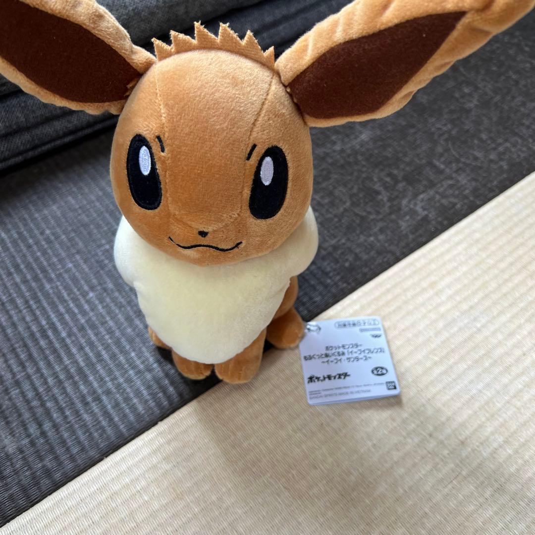 ポケモン ウォールポケット マグカップ バッグ ポーチ ぬいぐるみ フロアマット