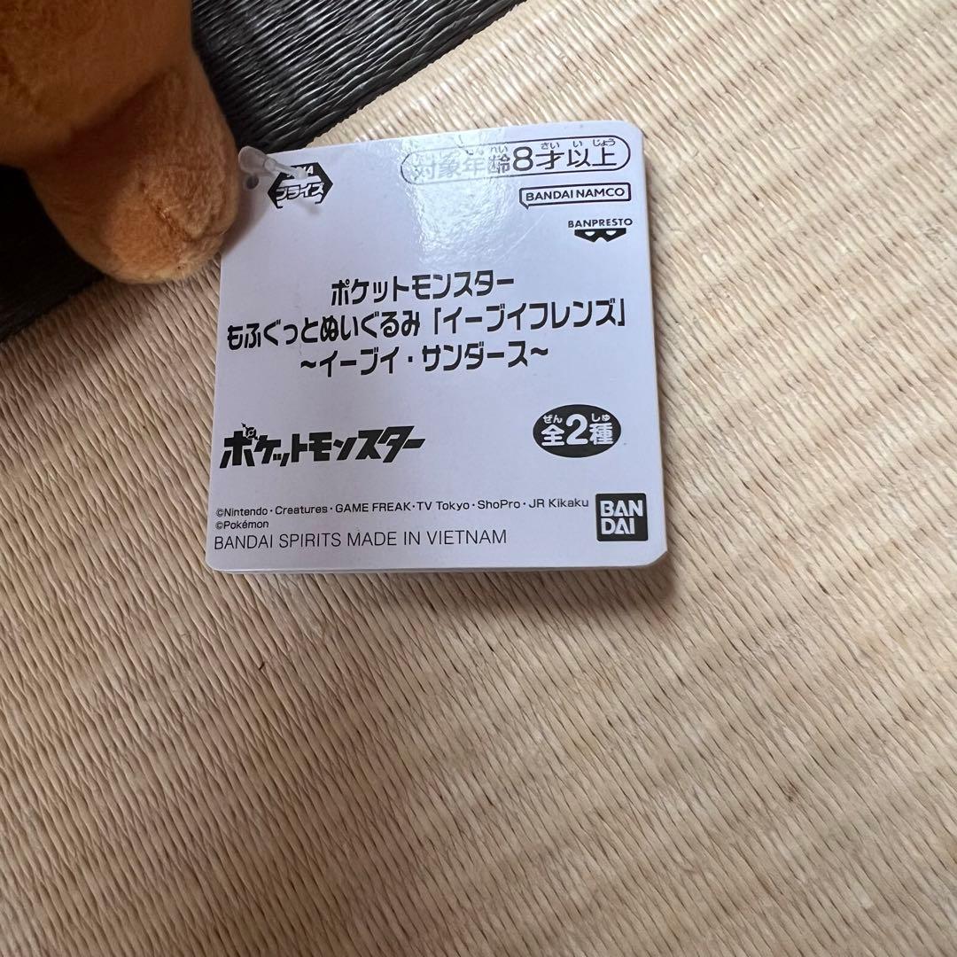 ポケモン ウォールポケット マグカップ バッグ ポーチ ぬいぐるみ フロアマット