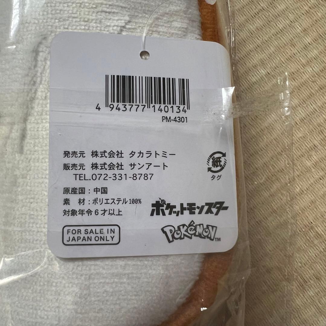ポケモン ウォールポケット マグカップ バッグ ポーチ ぬいぐるみ フロアマット