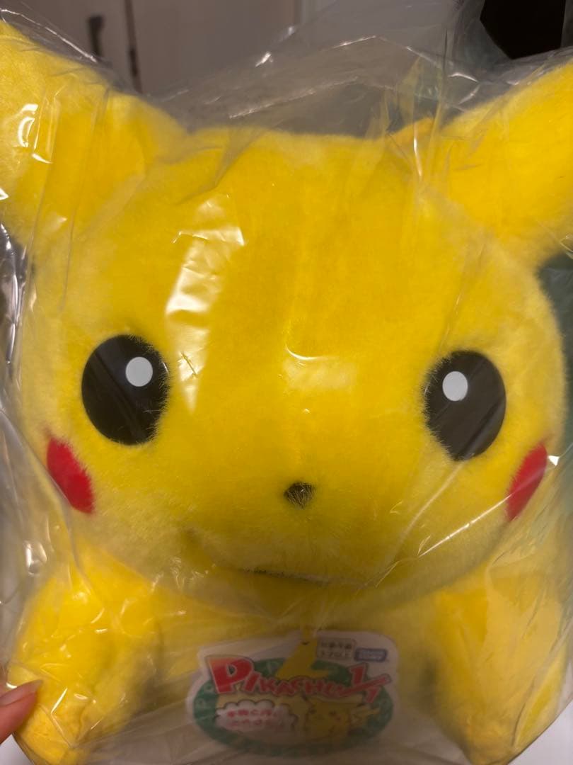 ポケモン30周年ピカチュウ ぬいぐるみ 未開封