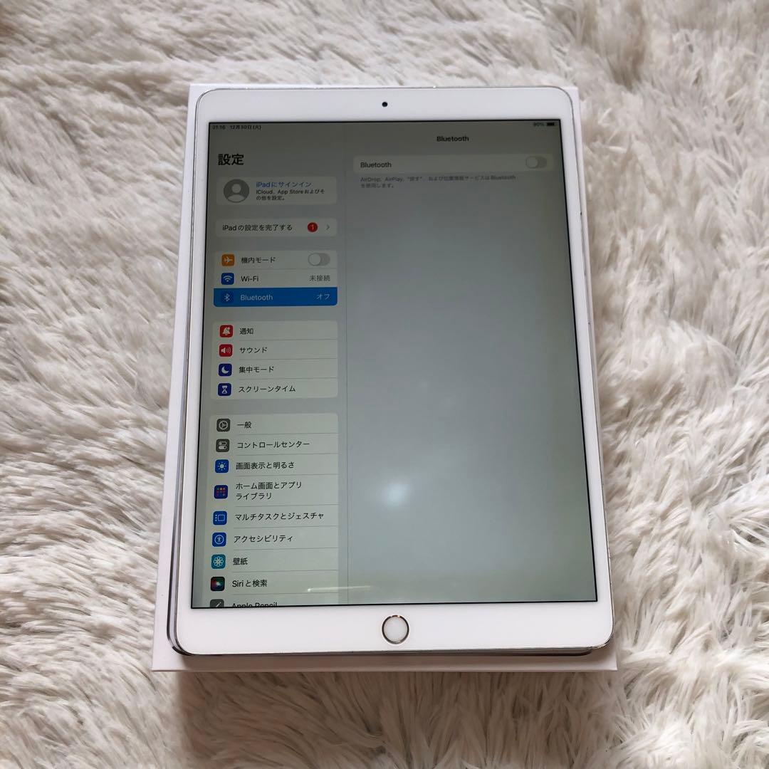 【年始割】iPad Pro 10.5 512GB 付属品多数！ 【すぐ発送】