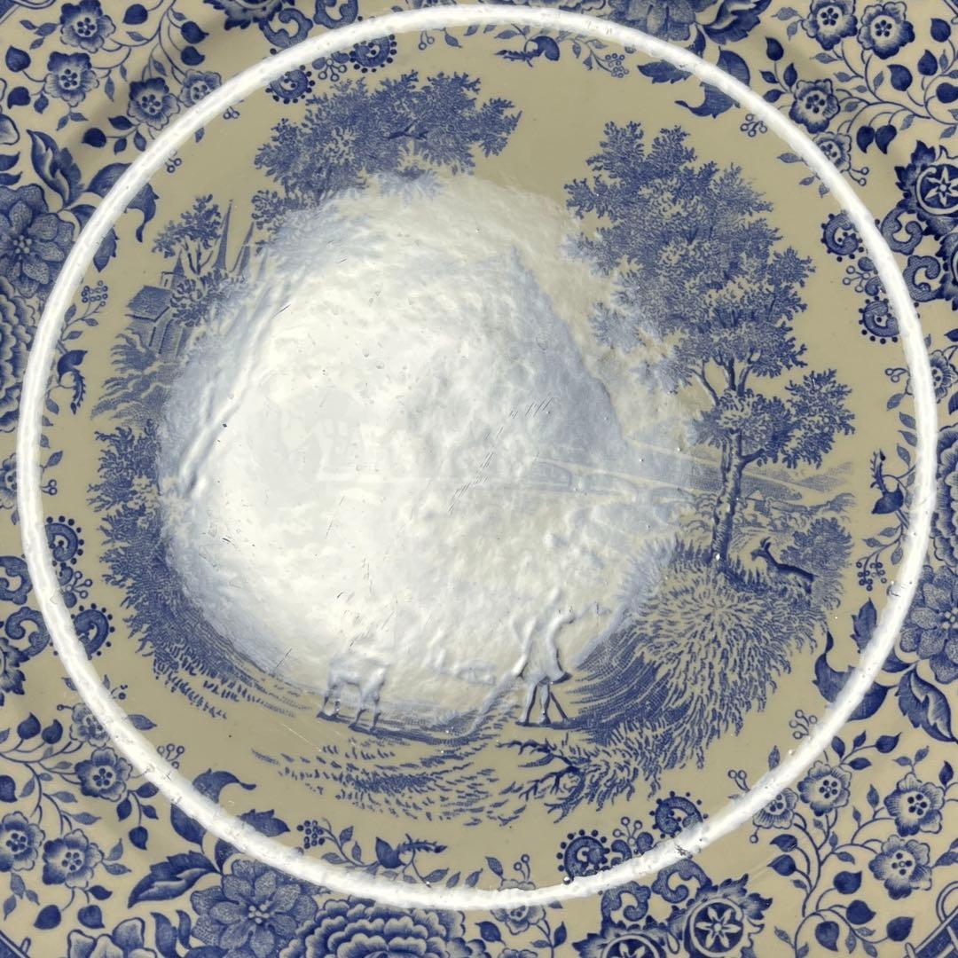 橋A ビレロイ＆ボッホ ブルゲンランド ディナープレート 4枚 25cm