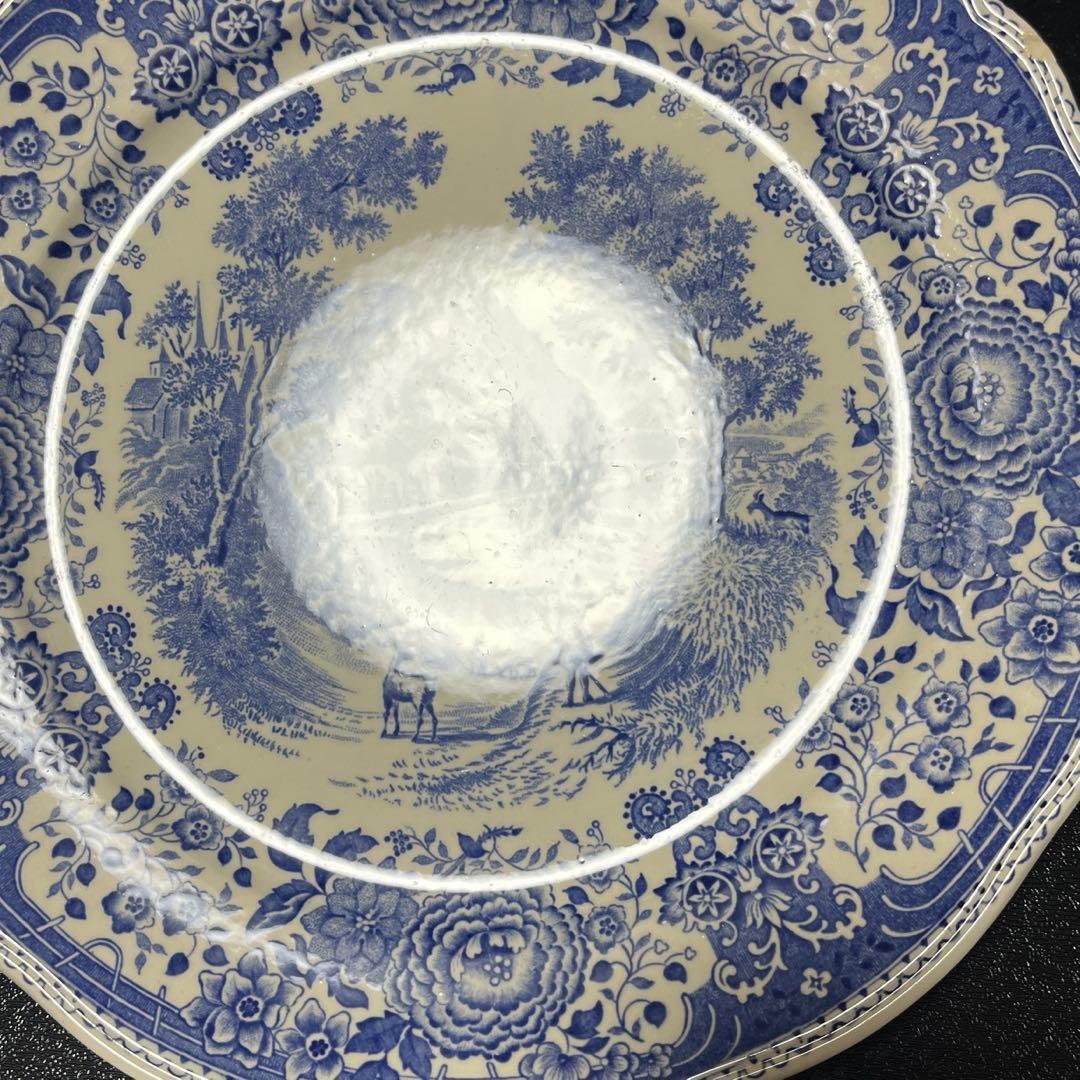 橋A ビレロイ＆ボッホ ブルゲンランド ディナープレート 4枚 25cm