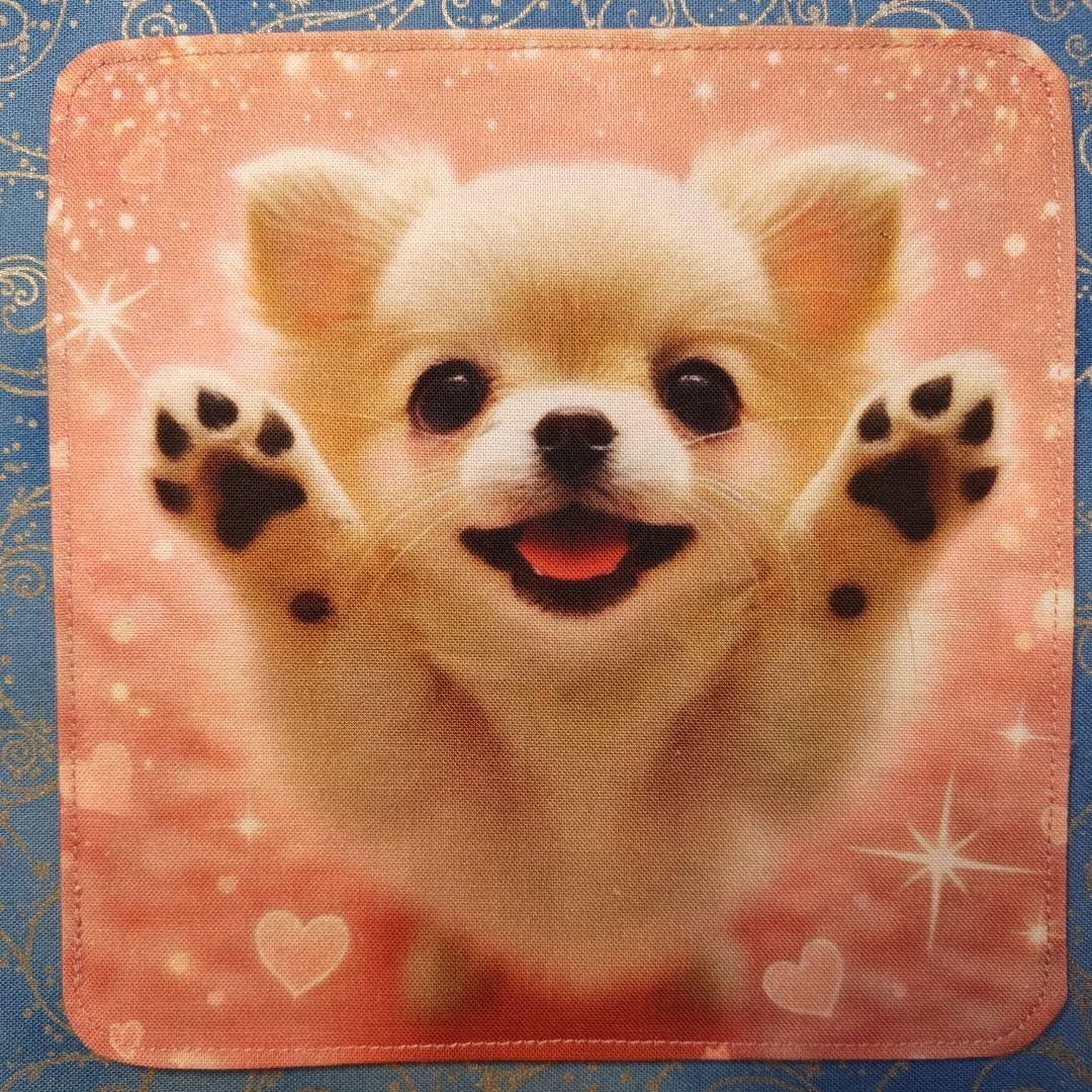 ななちゃん　ハンカチ　チワワちゃん柄　17枚