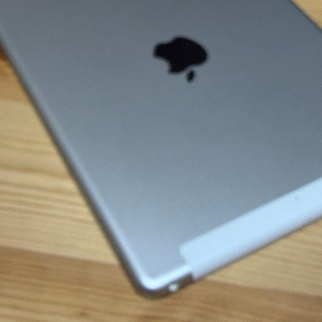中*茎様 iPad 第五世代 32GB セルラーモデル 53803