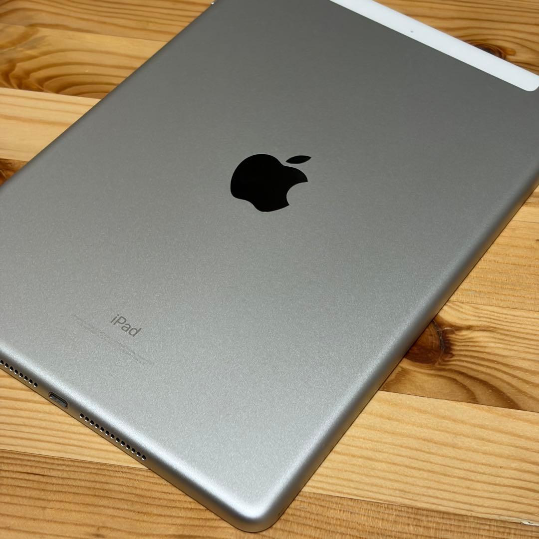中*茎様 iPad 第五世代 32GB セルラーモデル 53803