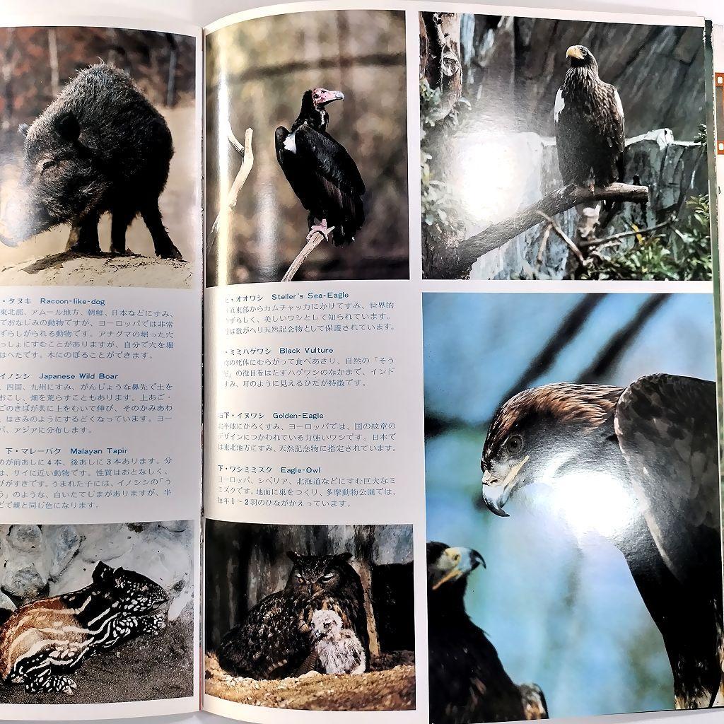 多摩動物公園 パンフレット