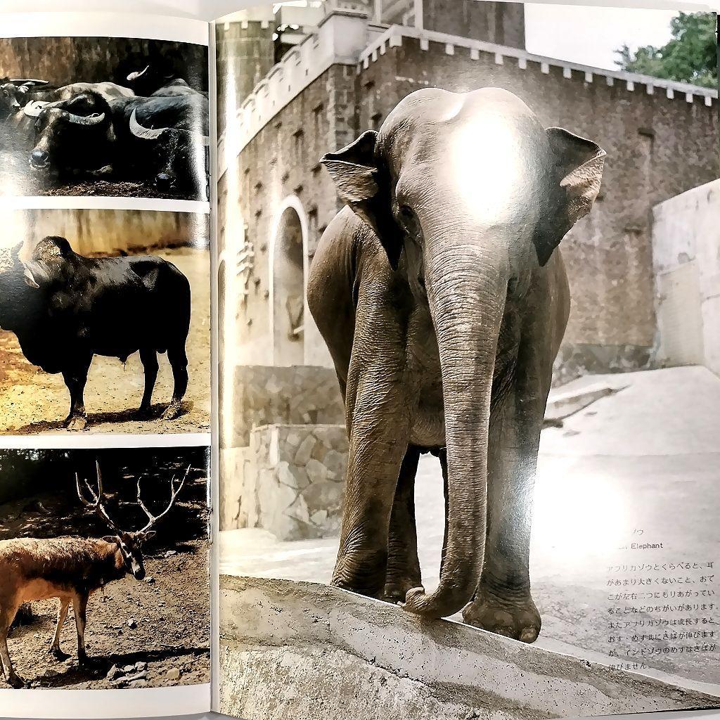 多摩動物公園 パンフレット