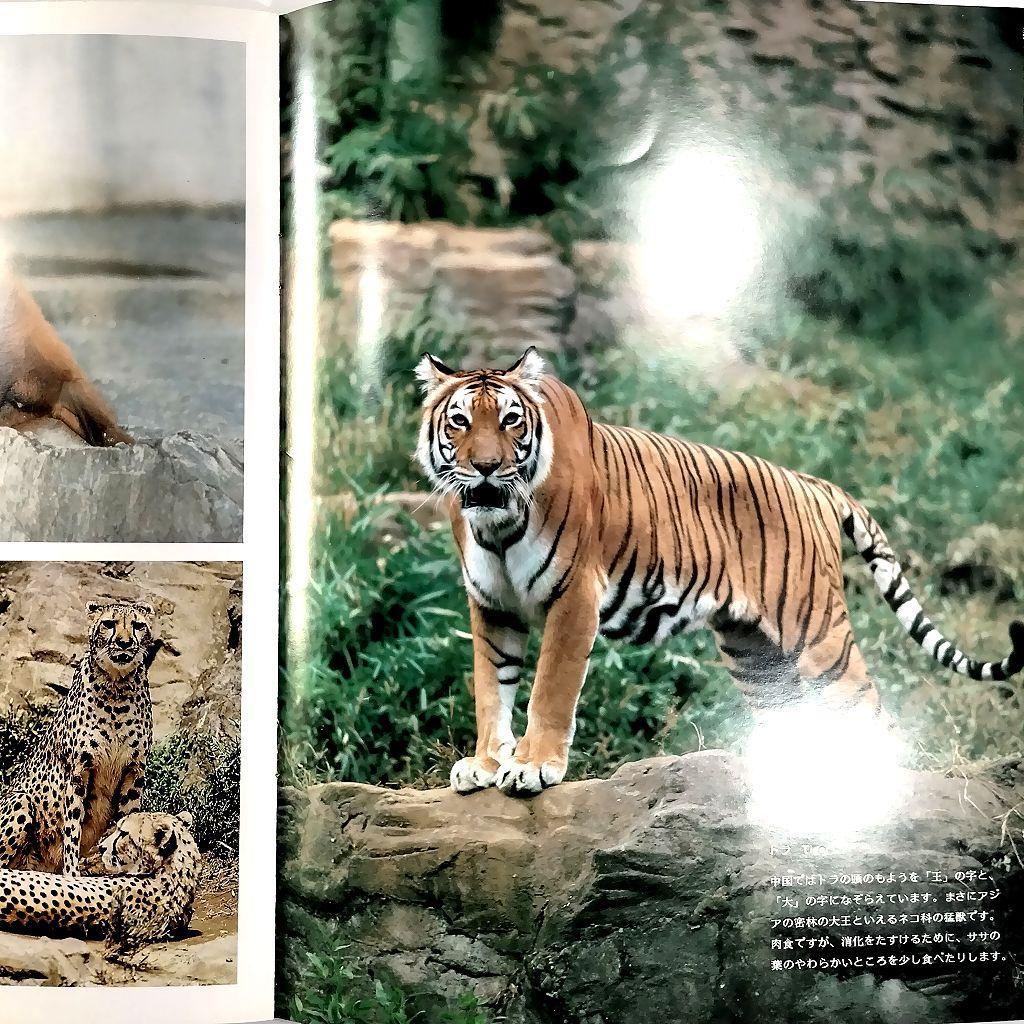 多摩動物公園 パンフレット