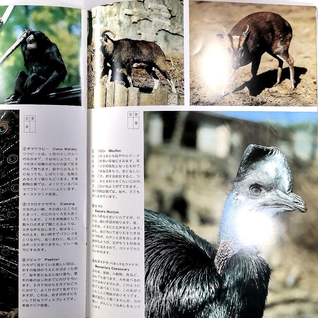 多摩動物公園 パンフレット