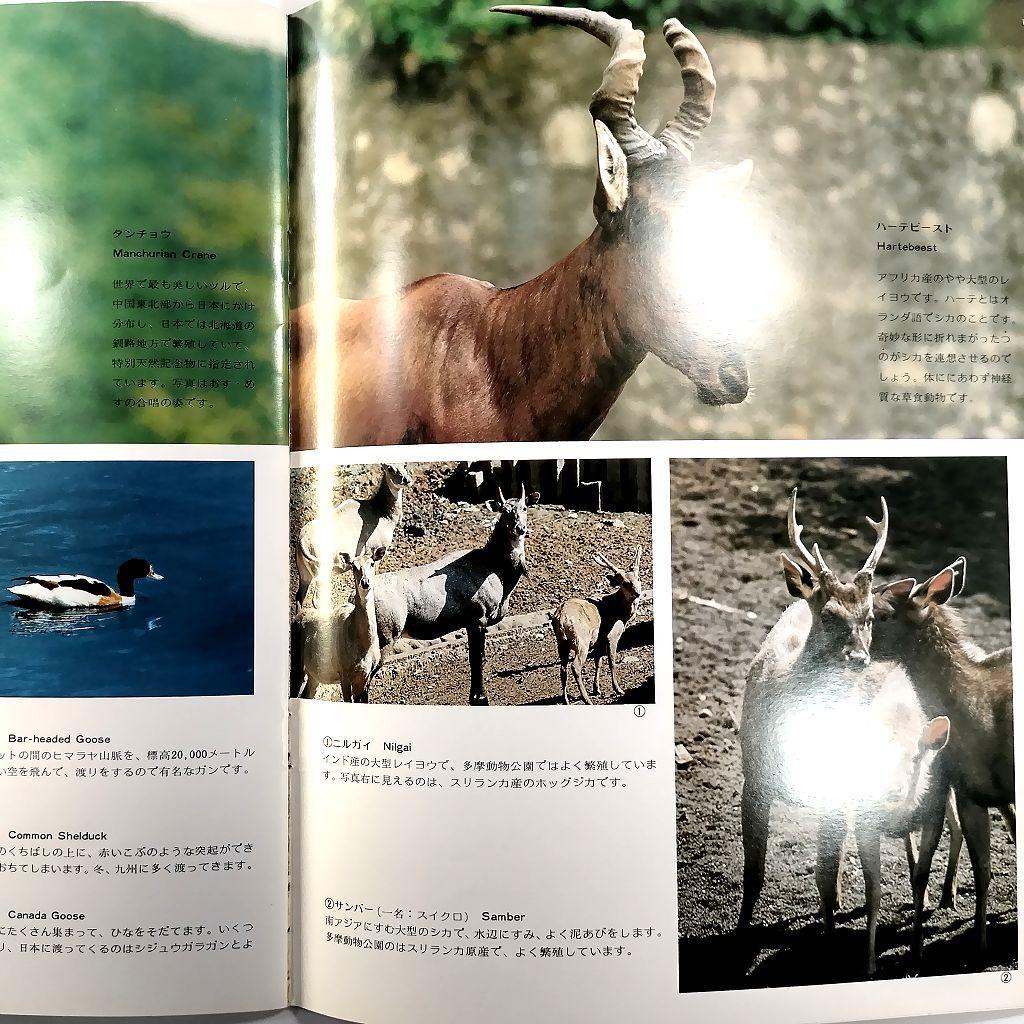 多摩動物公園 パンフレット