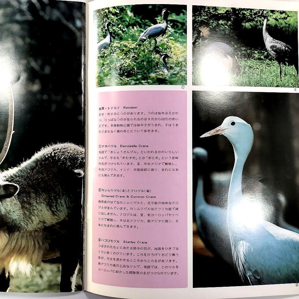 多摩動物公園 パンフレット