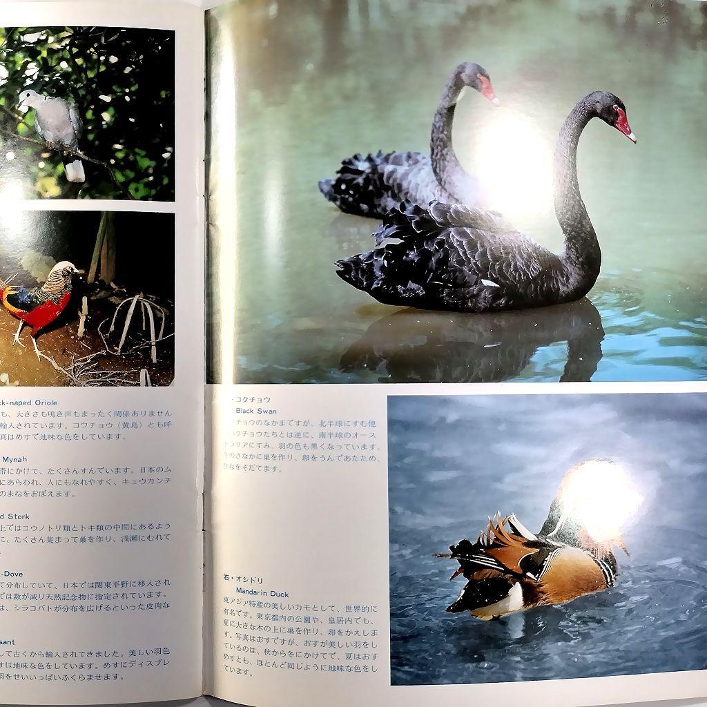 多摩動物公園 パンフレット