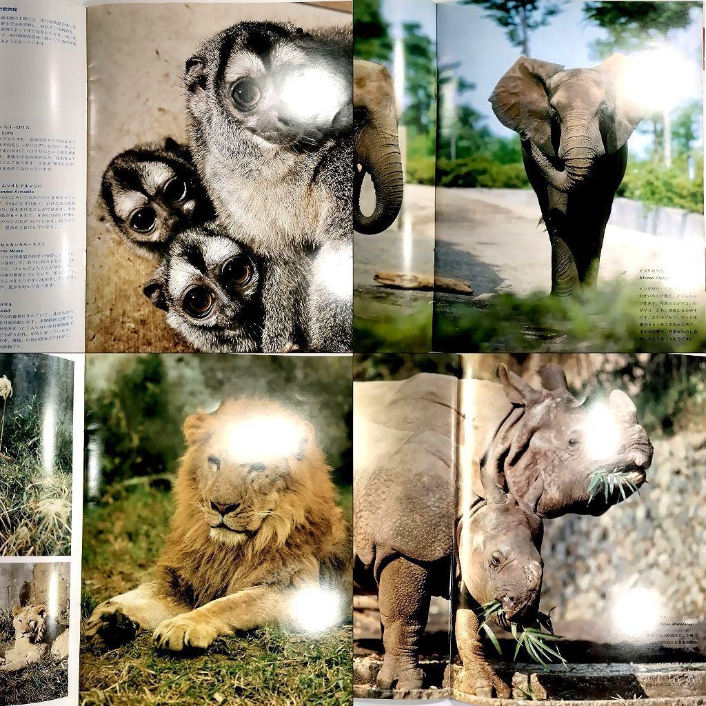 多摩動物公園 パンフレット