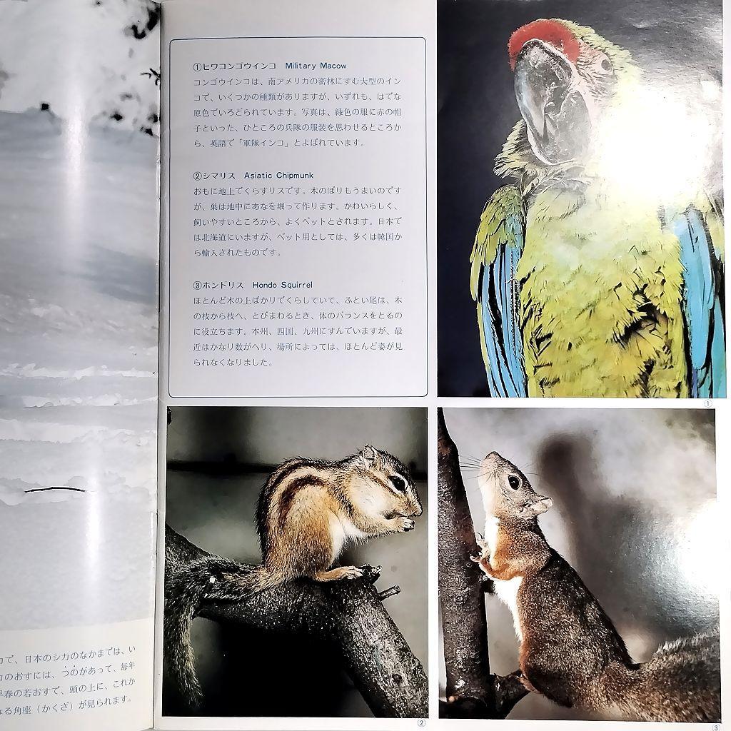 多摩動物公園 パンフレット