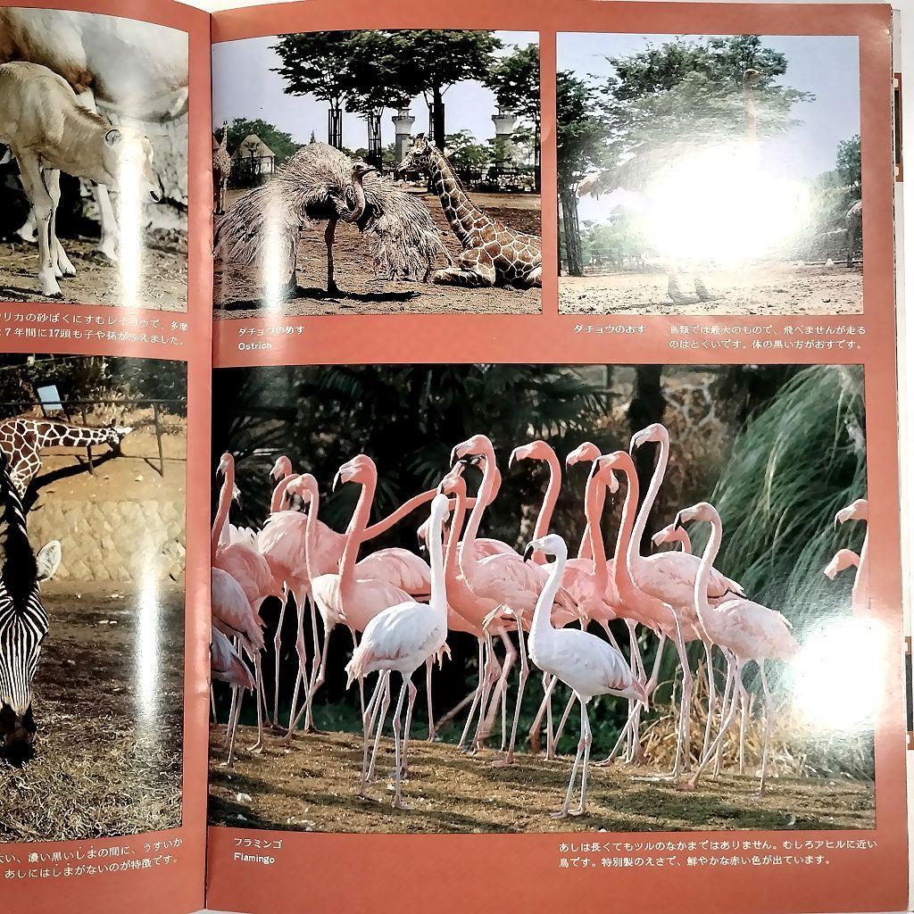 多摩動物公園 パンフレット