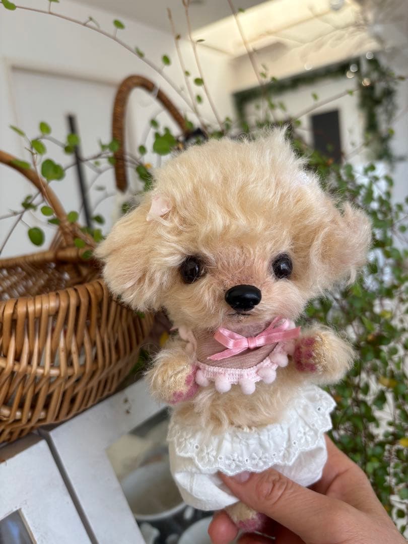 テディプードル　テディわんこ　トイプードル マルプー　ぬいぐるみ