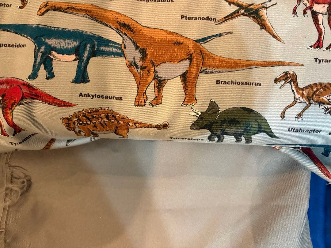 男の子　恐竜　入園・入学オーダー受付中