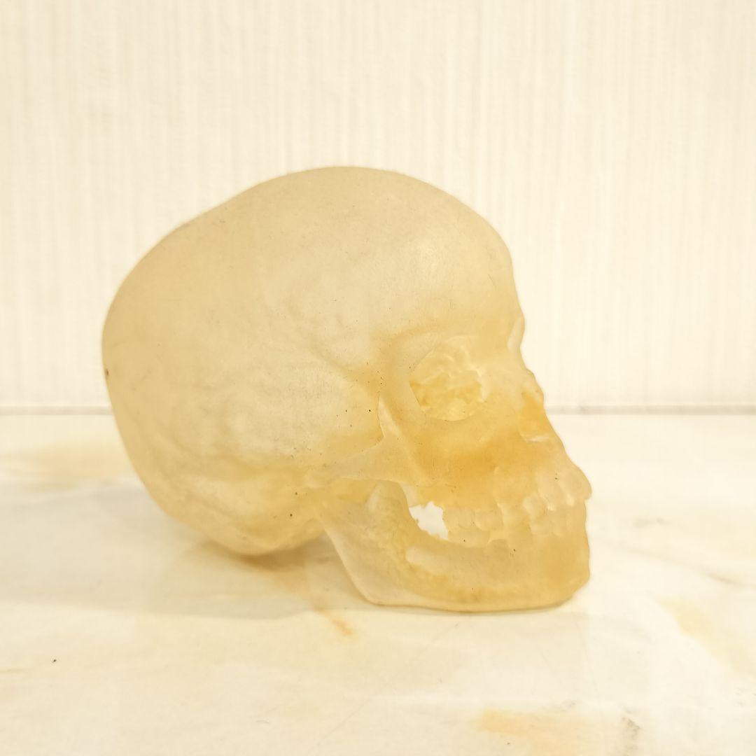 骸骨 置物 オブジェ