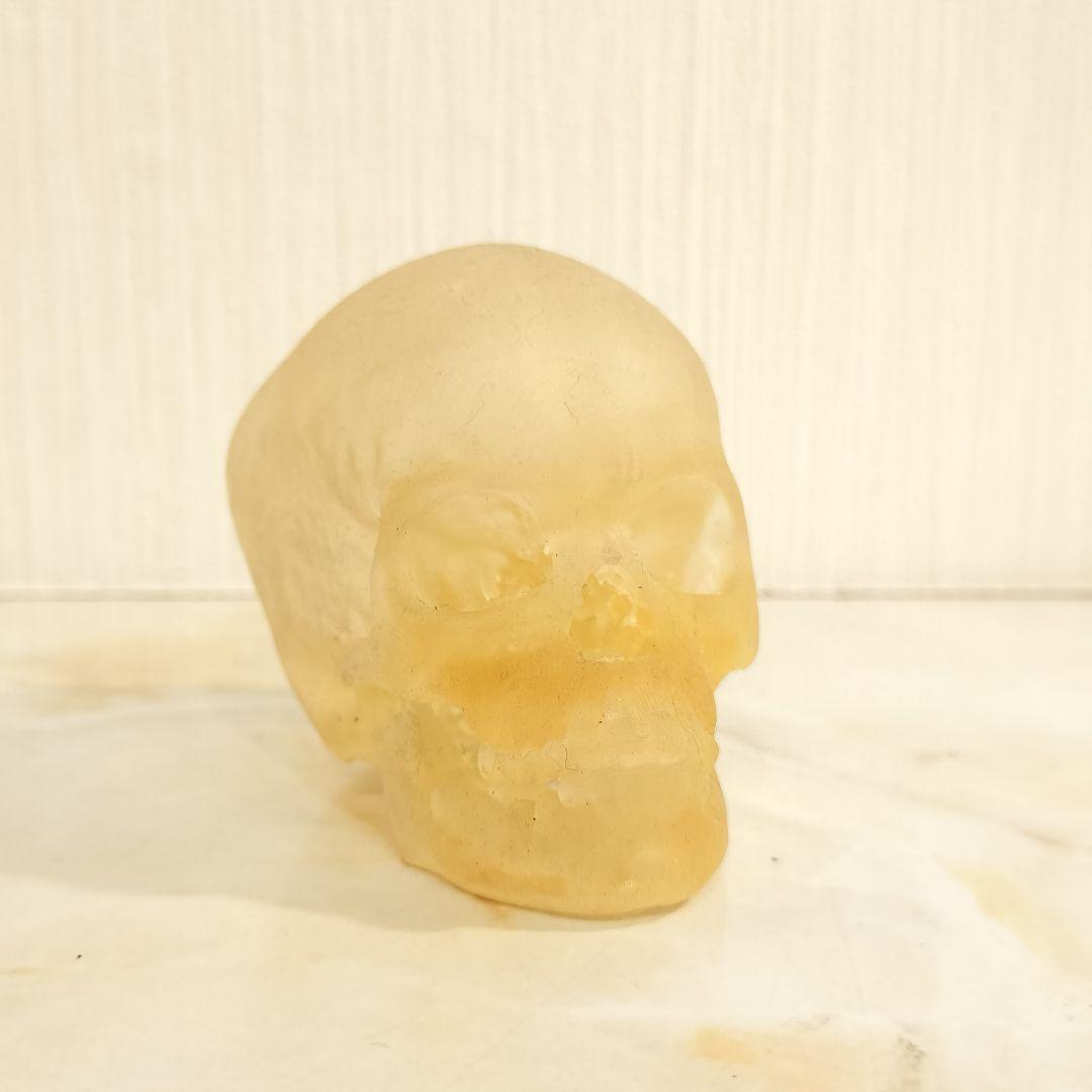 骸骨 置物 オブジェ