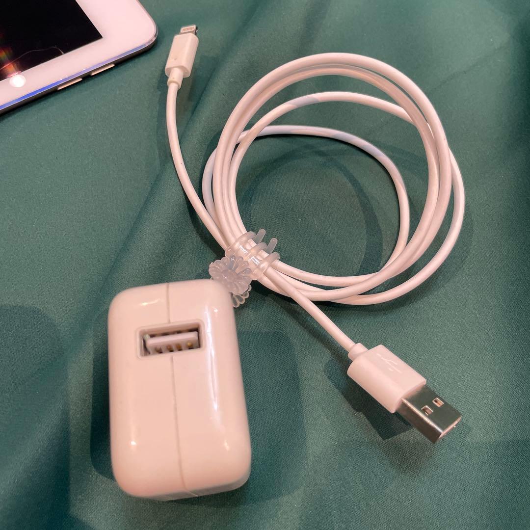 iPad Pro 9.7インチ 32GB セルラーモデル