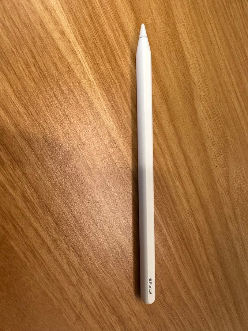 iPad Pro11インチ 第二世代 512GB + Apple pencil