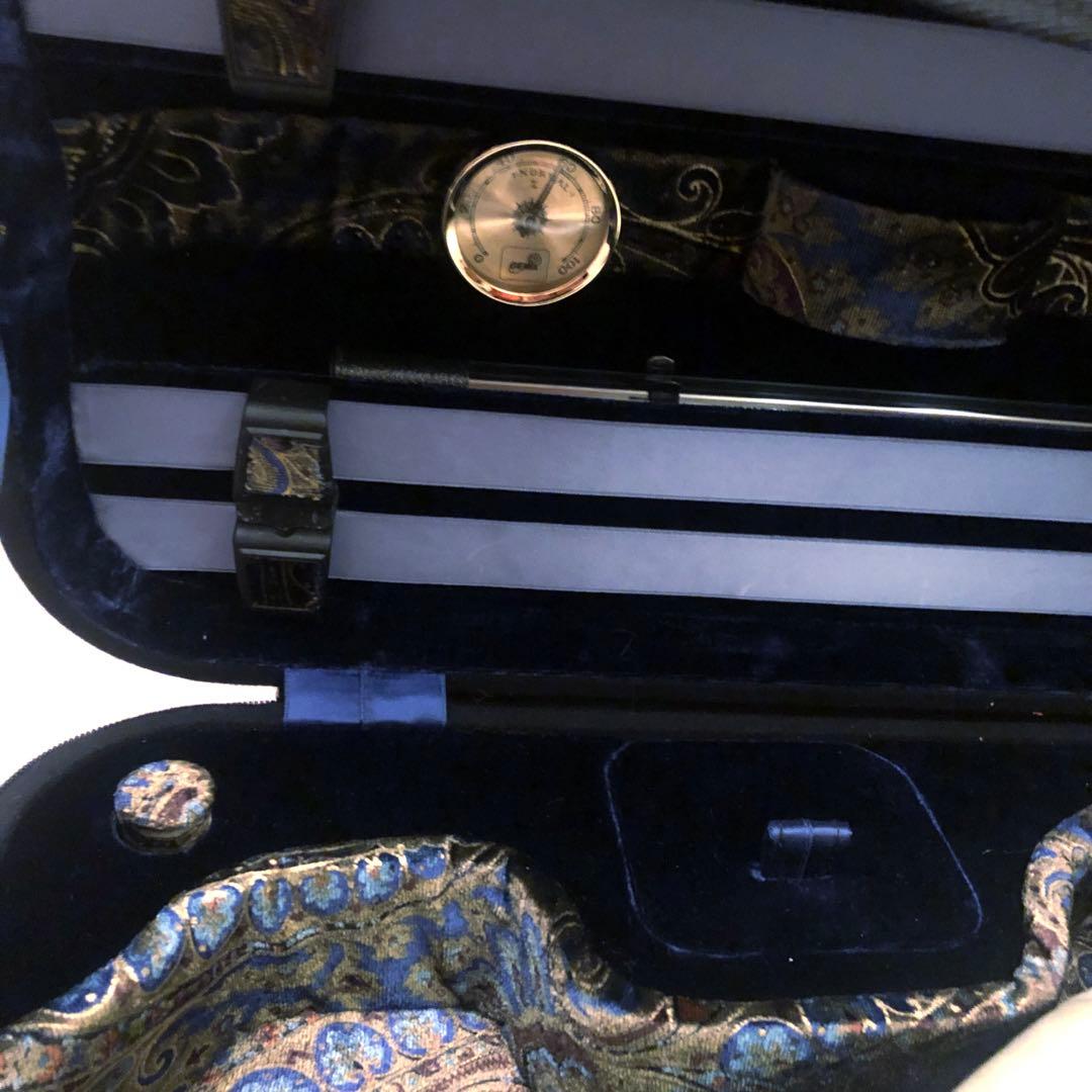 GEWA Venezia バイオリンケース