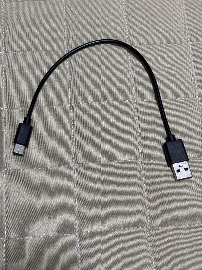 JVCケンウッド 完全ワイヤレスイヤフォン