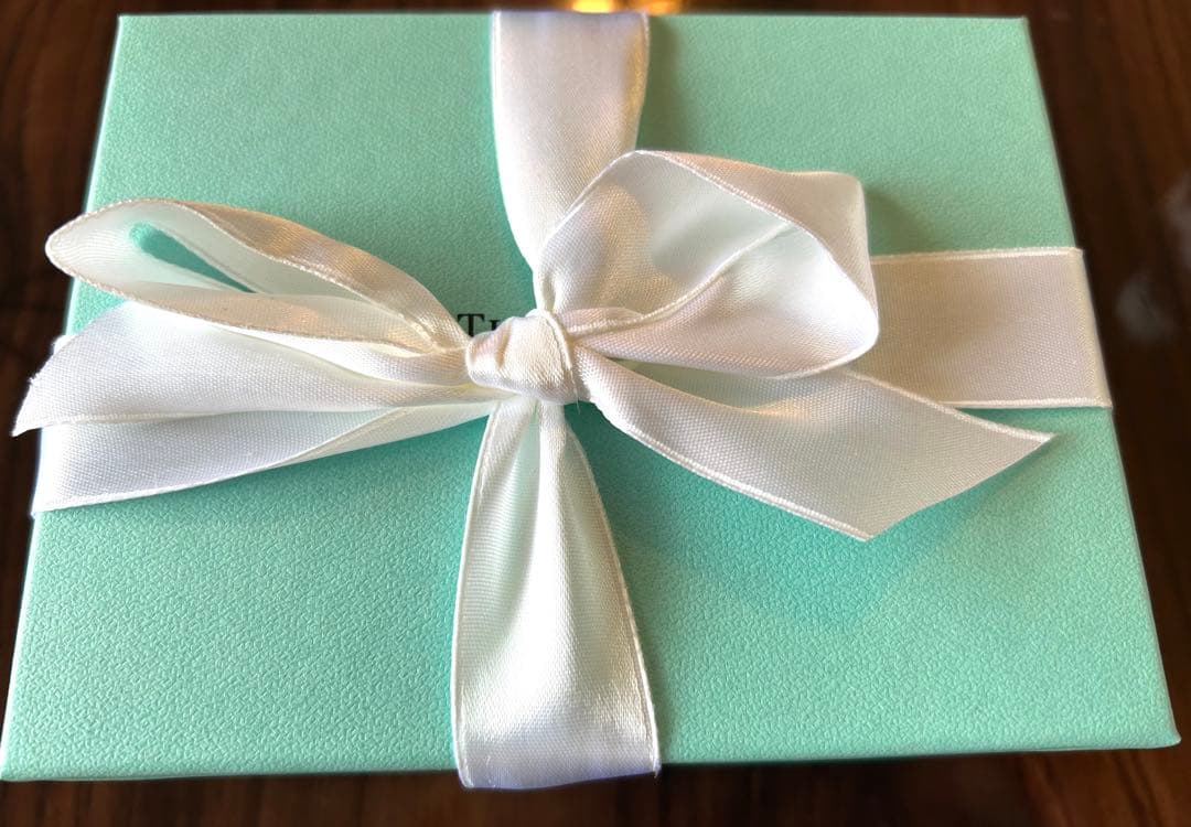 ◾️新品　TIFFANY&Co ティファニー 小物入れ ベア◾️