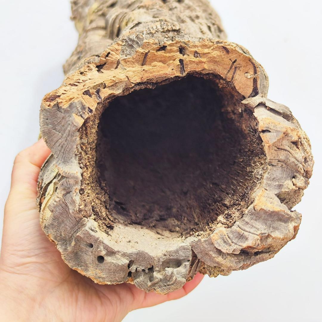 c7008　お買得品 洗浄済 ポルトガル産 キャノンコルク バージンコルク