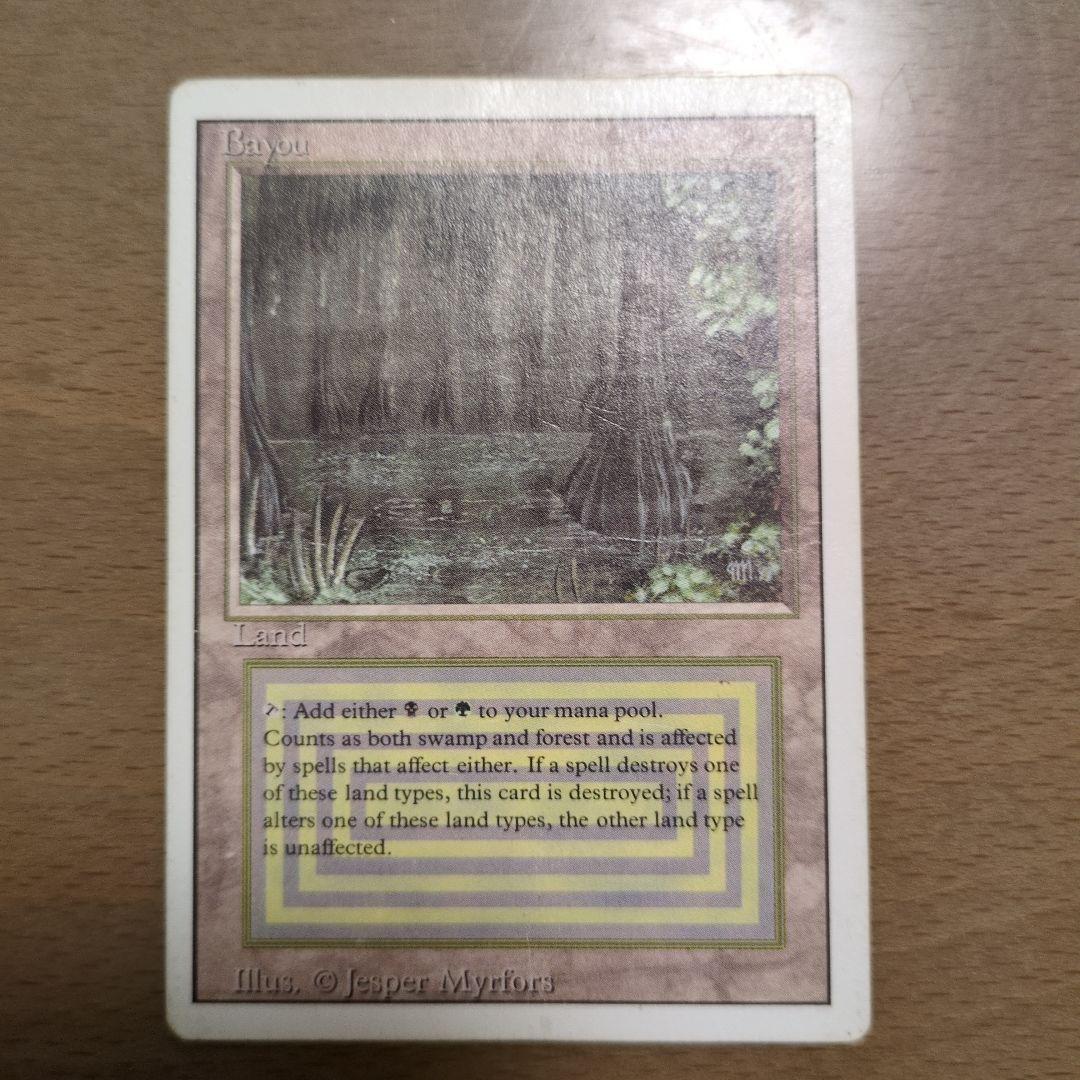 bayou 英語1枚