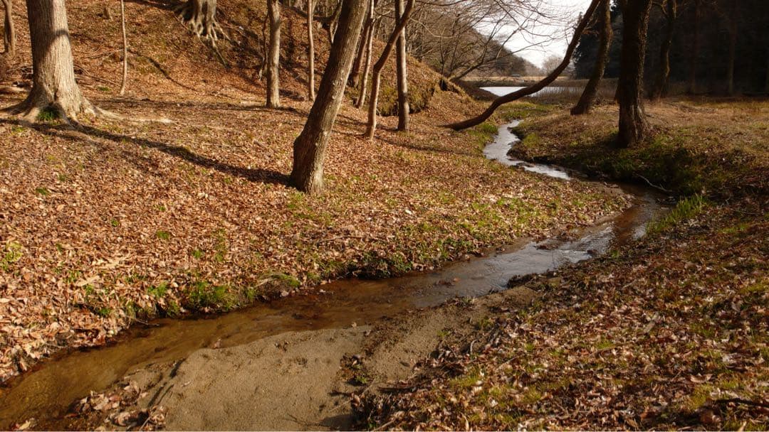 【美品】 ライカ　LEICA D-LUX3 専用レザーケース付き