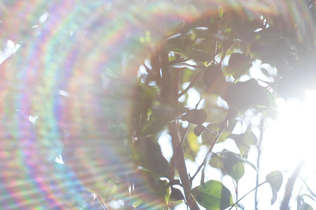 【富岡光学 ヤシカ】 Auto Yashinon-DX 50mm F2