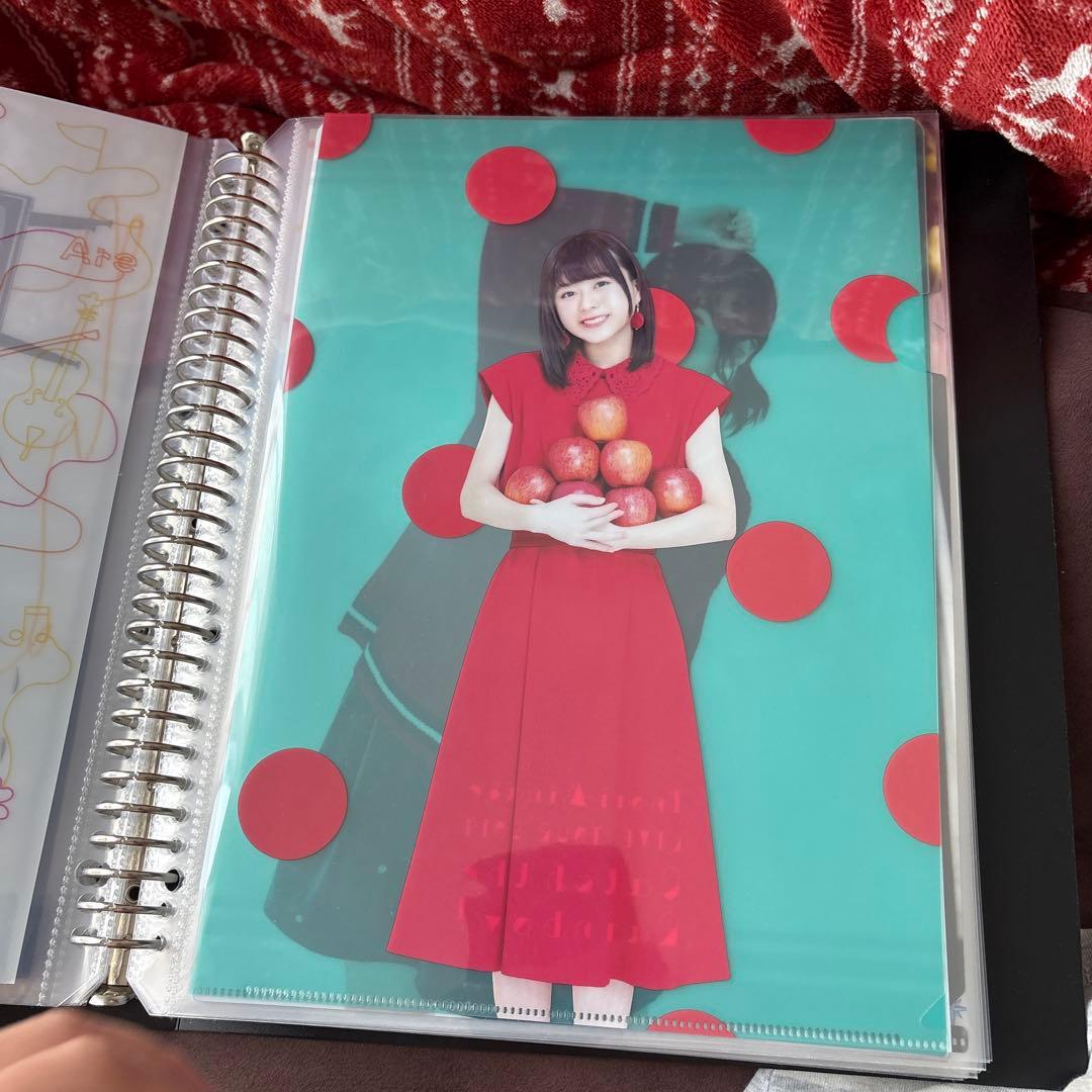 水瀬いのり　クリアファイル　約30枚セット