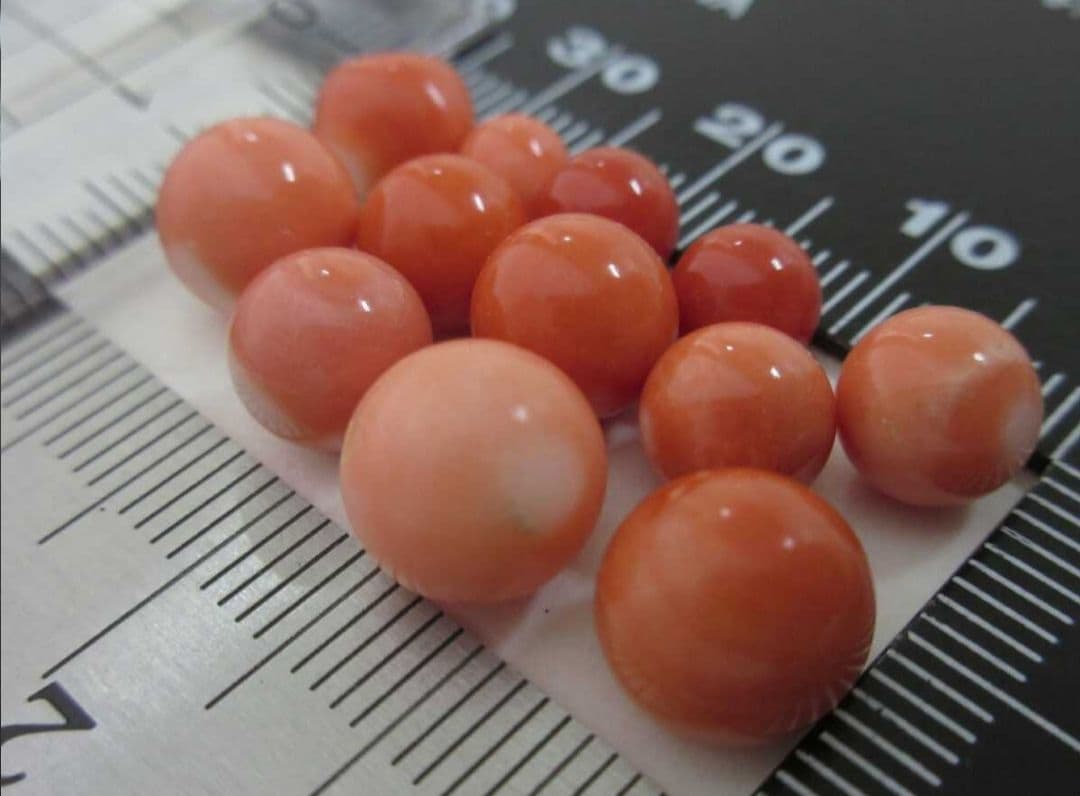 桃珊瑚 サンゴ 7g 片穴ルース セット 本珊瑚 s7a