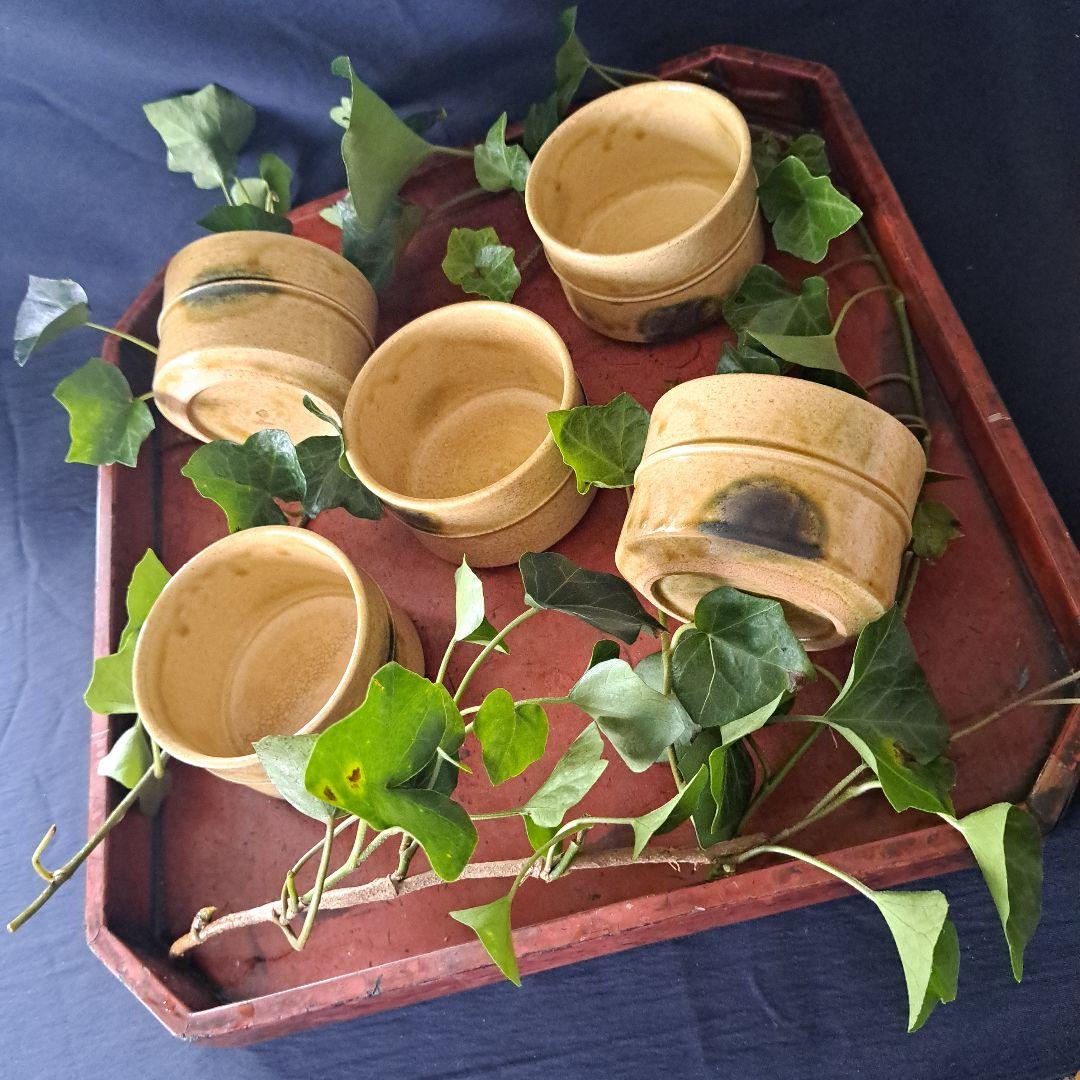 「赤津(あかづ)焼き [日本六古窯]です。」黄瀬戸(きせと)向付 5客セット骨董