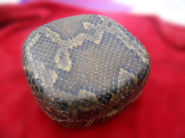 #2現品販売　新品未使用17.980円　N蛇皮強化(二重張)型チーガ今年３月作成