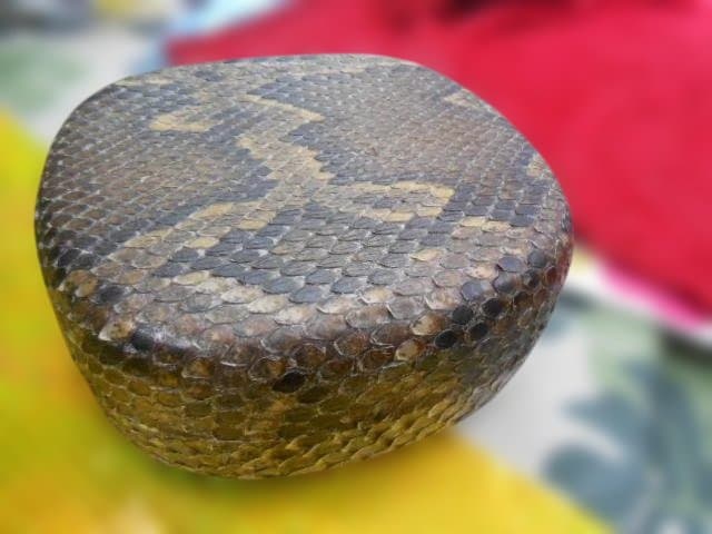 #2現品販売　新品未使用17.980円　N蛇皮強化(二重張)型チーガ今年３月作成