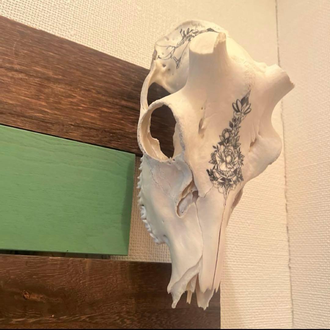 スカル　装飾　オリジナルハンドメイド　アートオブジェ　鹿骨　ヘッドスカル