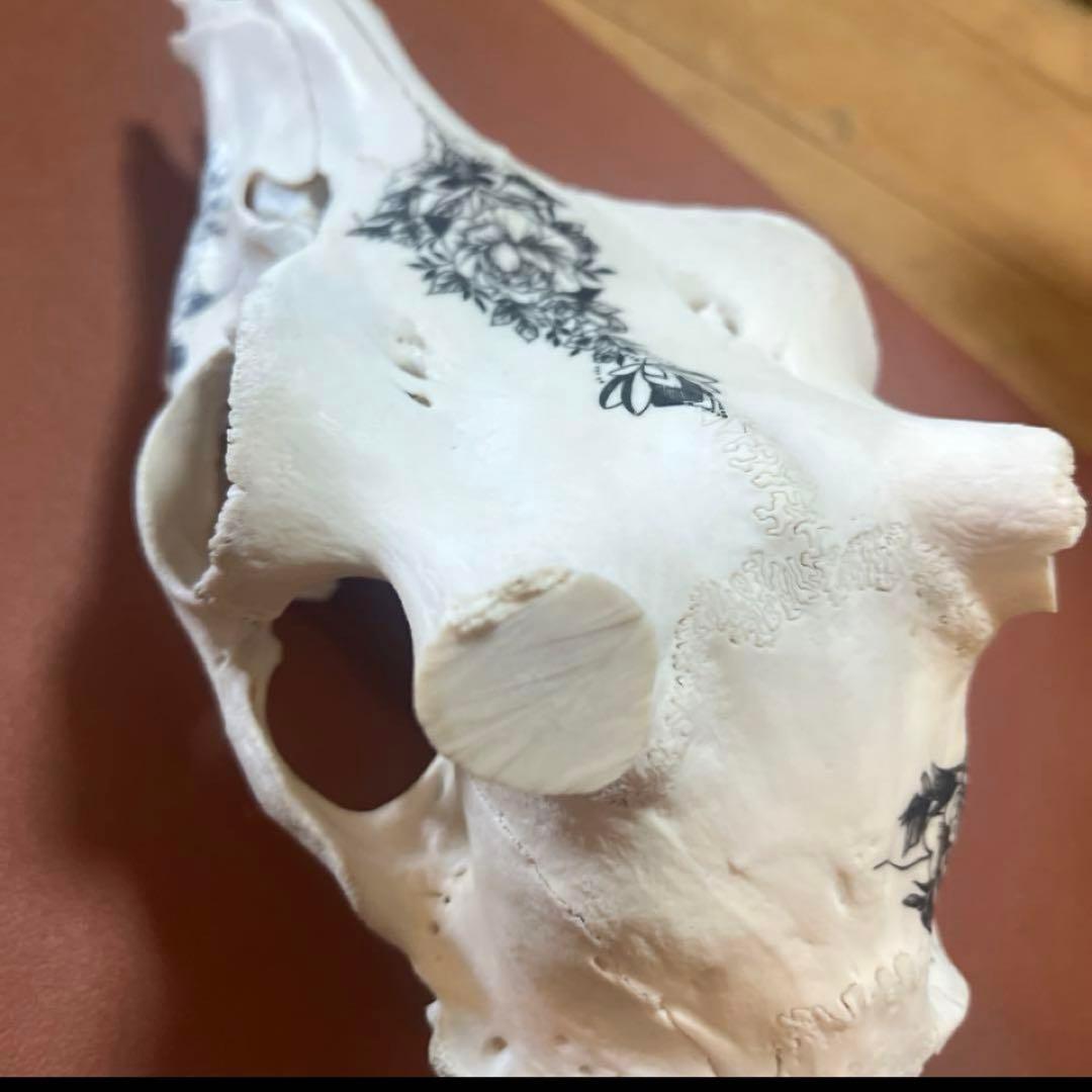 スカル　装飾　オリジナルハンドメイド　アートオブジェ　鹿骨　ヘッドスカル