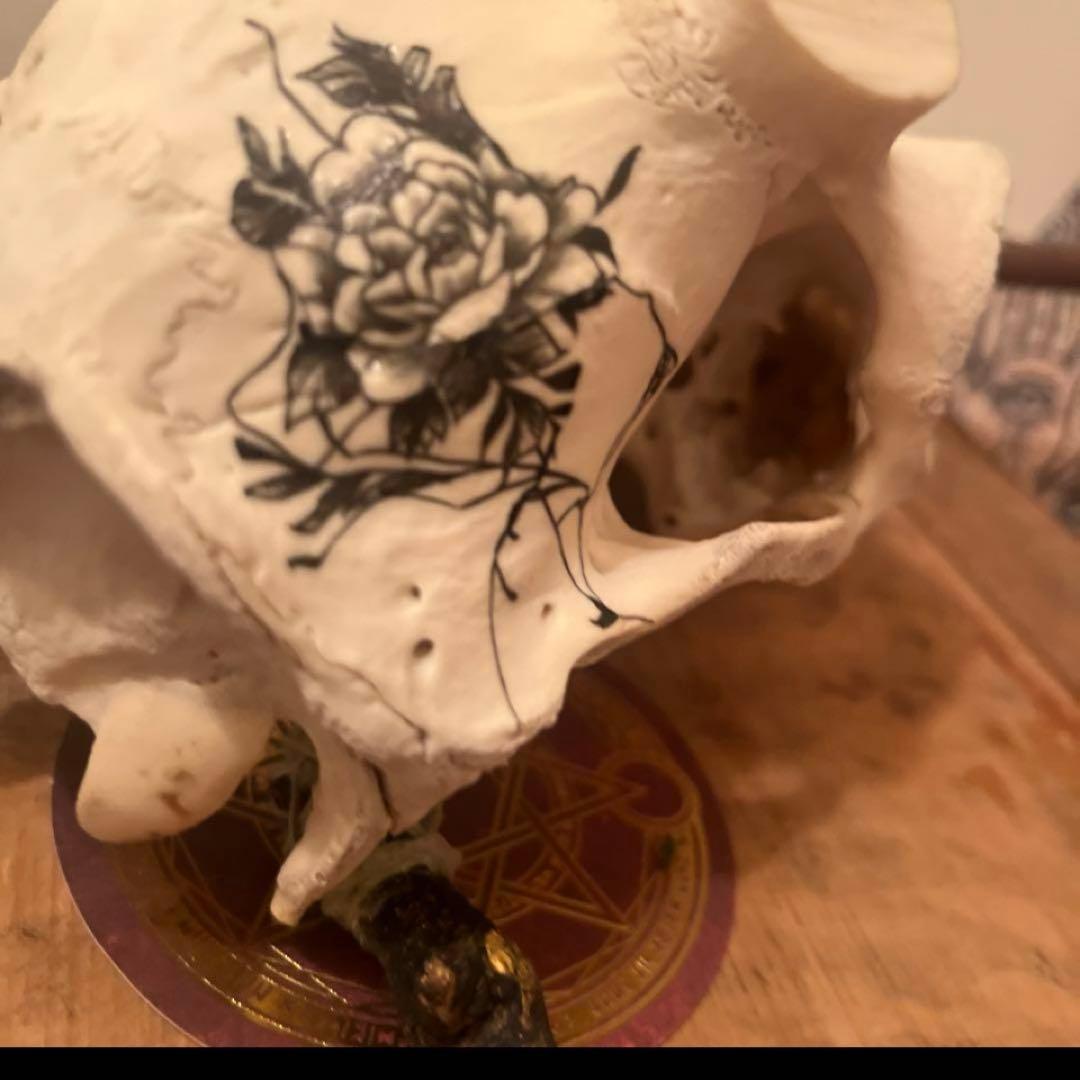 スカル　装飾　オリジナルハンドメイド　アートオブジェ　鹿骨　ヘッドスカル