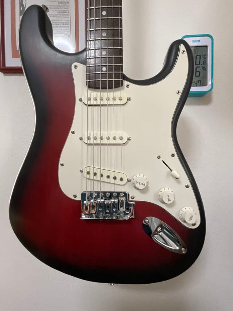 ストラト　タイプ　艶消しボディ ￼