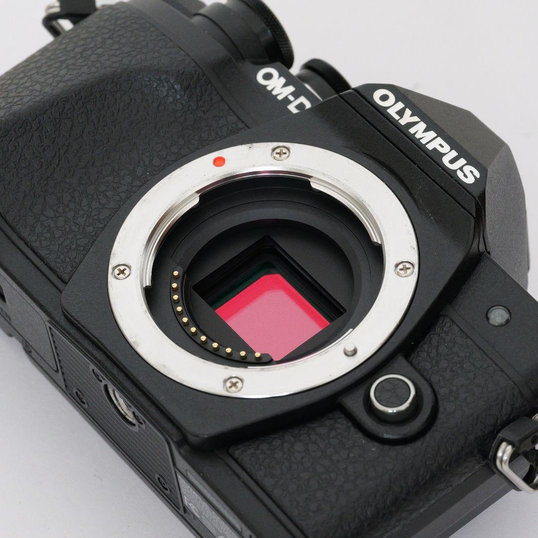 【7431ショット】OLYMPUS OM-D E-M10 MarkⅢダブルズーム