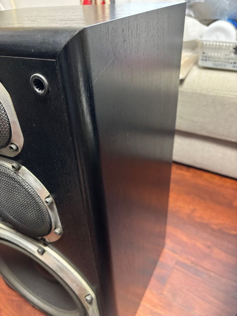 DIATONE DS-66EX スピーカー R側