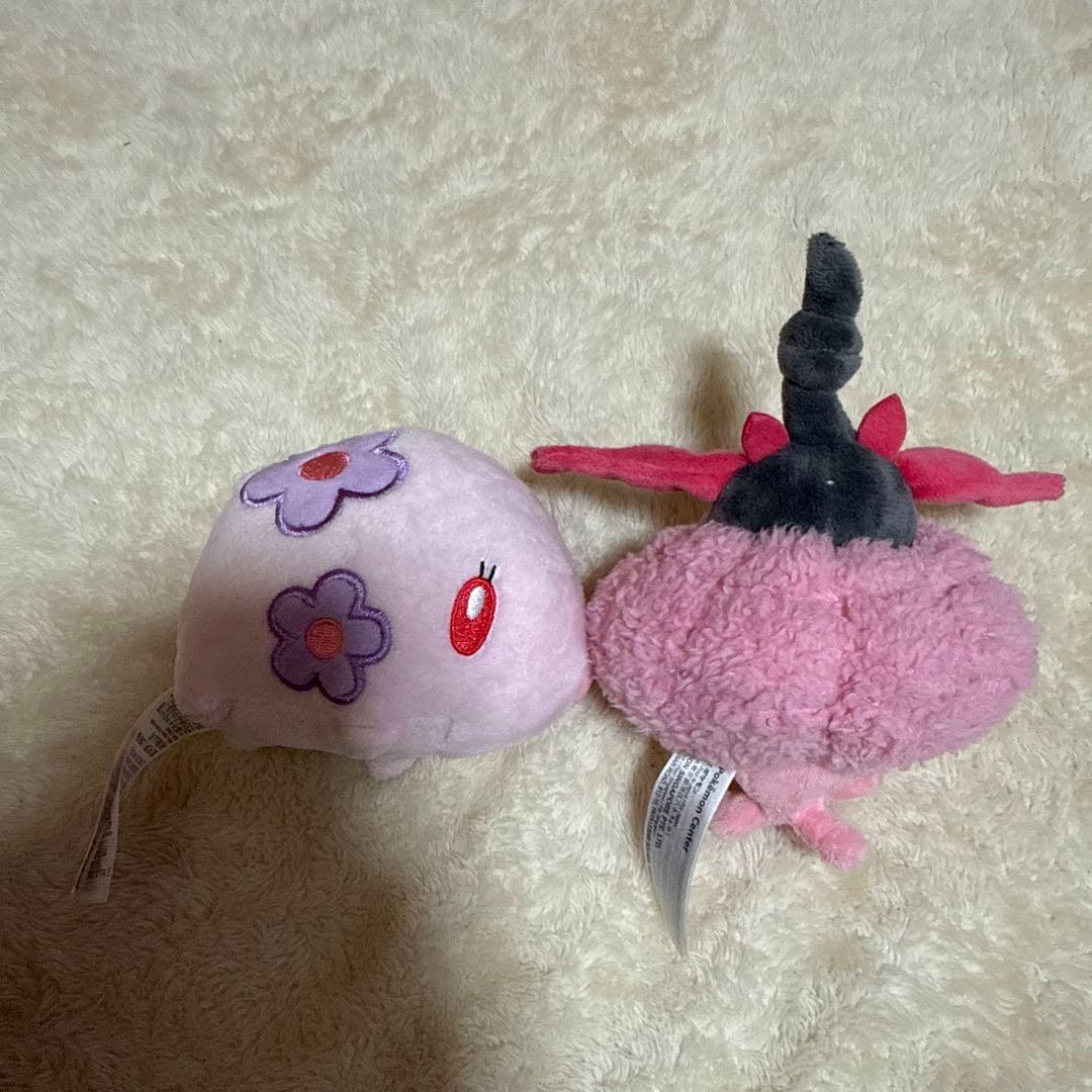 ポケモン fit 17体セット