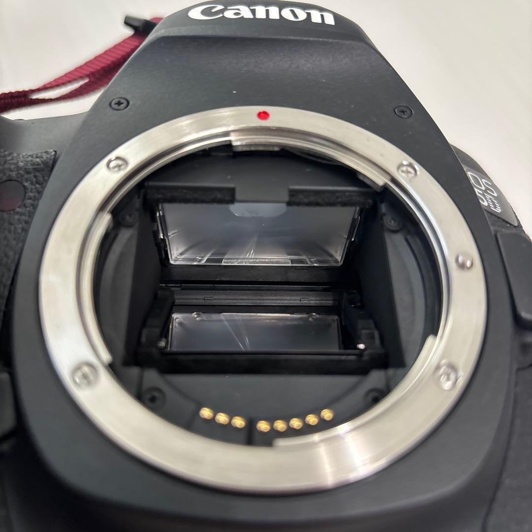 Canon EOS 5D MarkⅢ ・ZOOM LENS EF 24-105